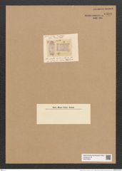 Striatella artica Ehr. (de-Toni-Nr.: Genus 97, Species 3089) Zeichnungen Sammlung Grunow Nr. 6319 (NHMW-BOT-W0374953)